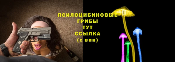 соль ск Михайловск