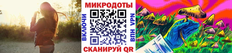 Псилоцибиновые грибы Cubensis  где купить наркоту  Кохма 